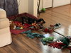 Ks Litter Amadeus - ADOPTED 02.13.19