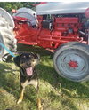 Ks Litter Connelly - ADOPTED 08.10.19