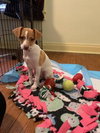 Ms Litter Ruthie - ADOPTED 04.18.19