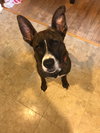Amli (FP) - ADOPTED 10.14.19