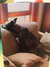 Amli (FP) - ADOPTED 10.14.19