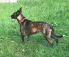 Amli (FP) - ADOPTED 10.14.19
