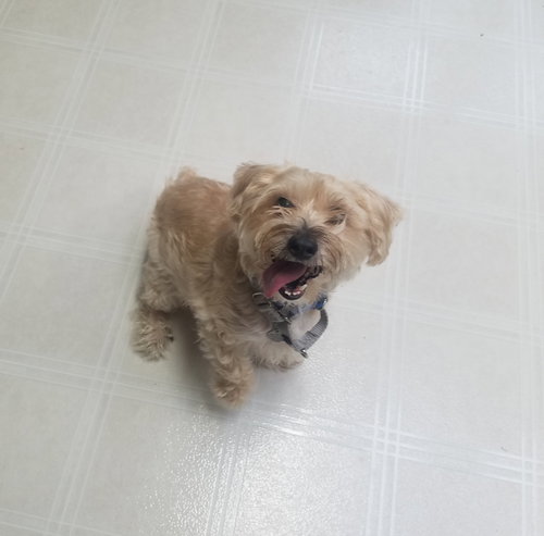 Teton - ADOPTED 05.10.19