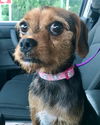 Marney - ADOPTED 07.30.19