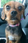 Marney - ADOPTED 07.30.19