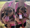 Marney - ADOPTED 07.30.19