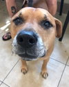 Qs Lewey - ADOPTED 08.09.19