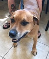Qs Lewey - ADOPTED 08.09.19