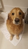 Miggy - ADOPTED 10.04.19