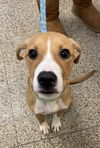 Kiara - ADOPTED 01.08.20