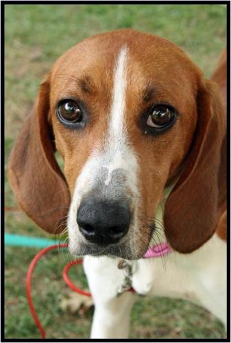 Anastasia - ADOPTED 06.09.09