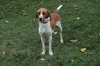 Anastasia - ADOPTED 06.09.09