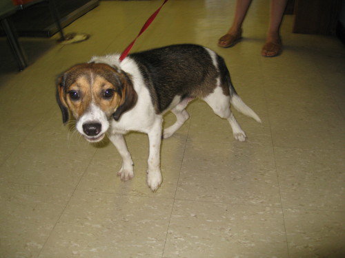 Andy-ADOPTED-6.9.09