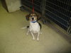 Andy-ADOPTED-6.9.09