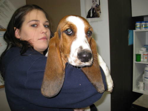 Annabelle-ADOPTED-6.9.09