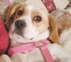 Ariel-ADOPTED-6.9.09
