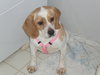 Ariel-ADOPTED-6.9.09