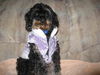 Armani-ADOPTED-6.9.09