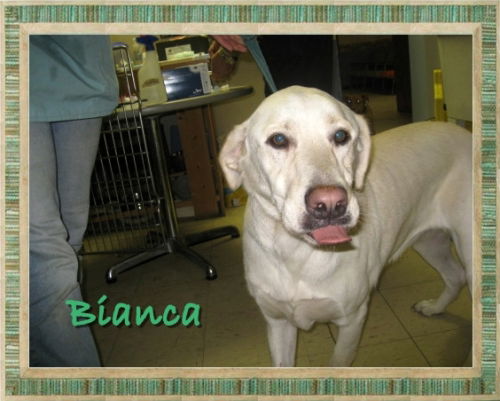 Bianca