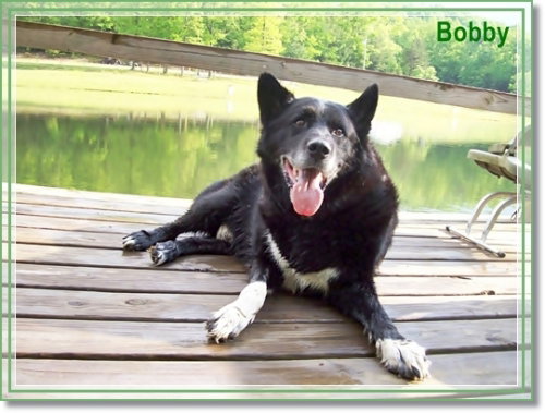 Bobby