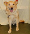 Brayden - ADOPTED 09.23.09
