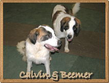 Calvin & Beemer!