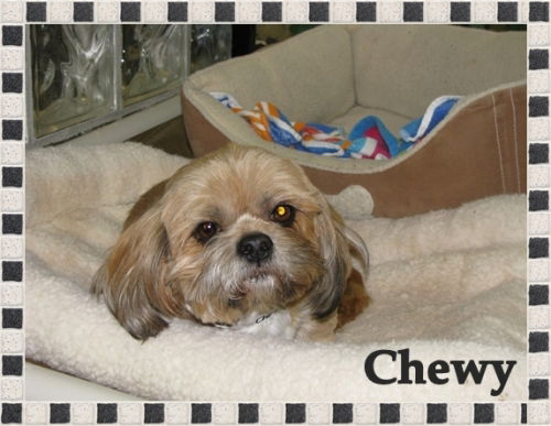 Chewy