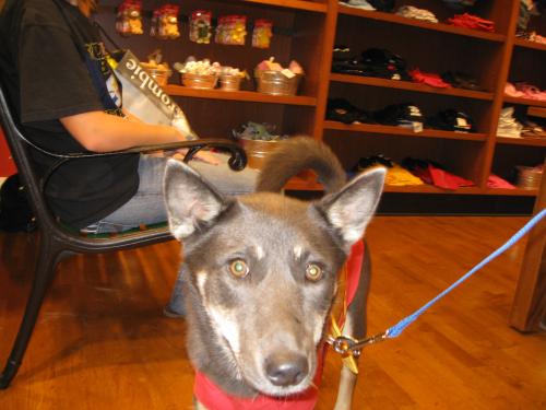 Diamond-ADOPTED-6.9.09