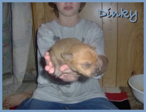 Dinky