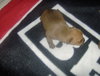 Dinky
