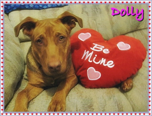 Dolly~Pending!