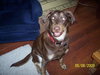 Dudley - ADOPTED 07.17.09