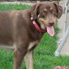Dudley - ADOPTED 07.17.09