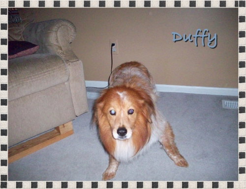 Duffy