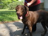 Dugan