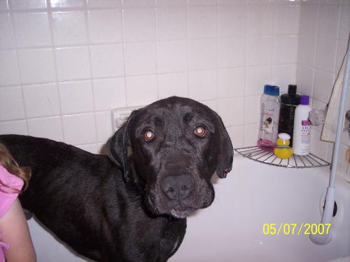 Duke