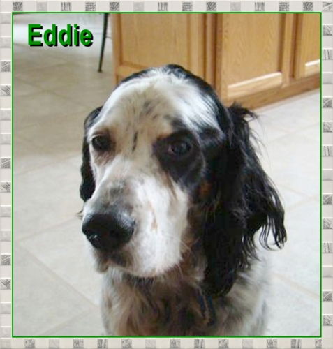 Eddie