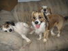 Family-ADOPTED!