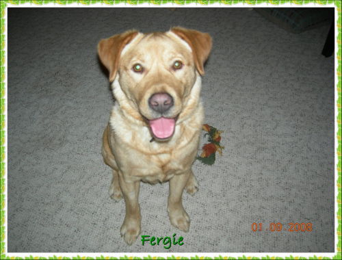 Fergie