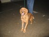 Fiona-PENDING!