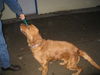 Fiona-PENDING!