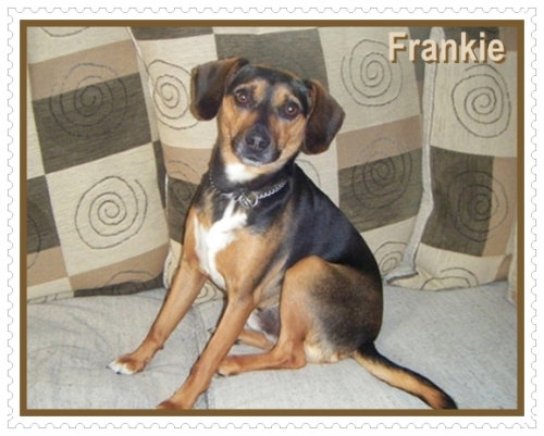 Frankie