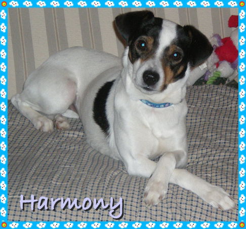 Harmony-ADOPTED 02.16.13