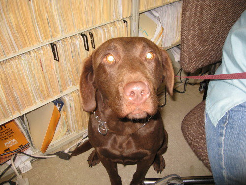 Hogan-PENDING!