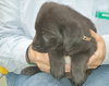 Hope~Pending!