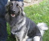 Isabelle - ADOPTED 07.30.09