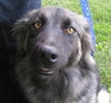 Isabelle - ADOPTED 07.30.09
