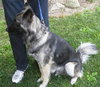 Isabelle - ADOPTED 07.30.09