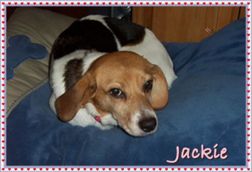 Jackie-ADOPTED-6.9.09