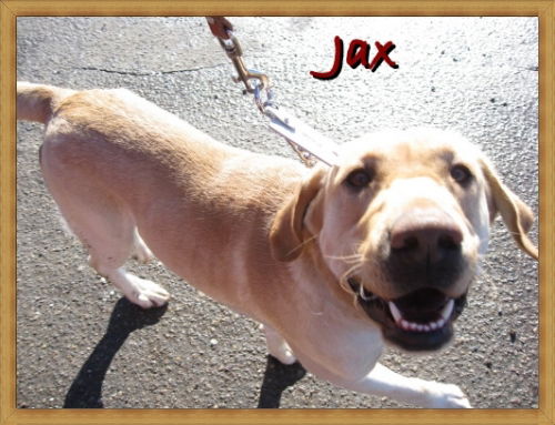 Jax